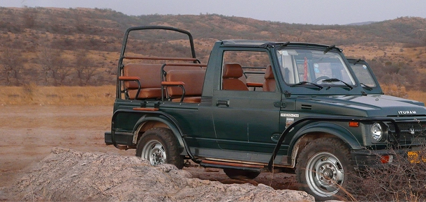 Safari Banner